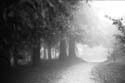 Campus_in_the_Fog