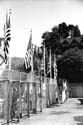JFK_2