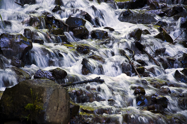 15_new_DSC_0062