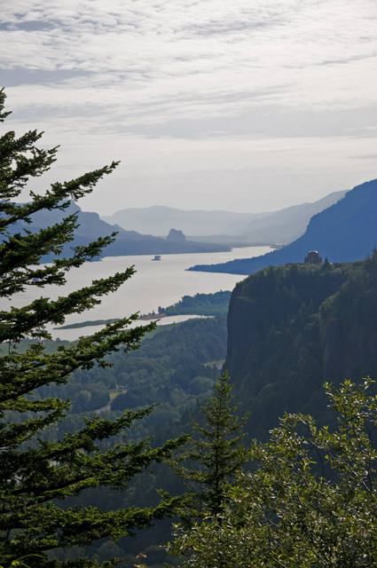 1_new_DSC_0004