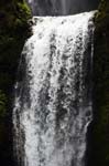 17_new_DSC_0065