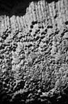 8_new_DSC_0030