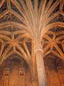P2-31-cluny
