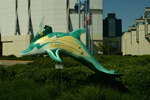 Dolphin