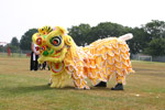 Lion-Dragon