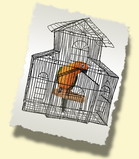 Caged Bird