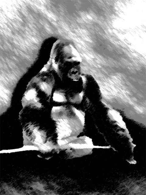 Gorilla