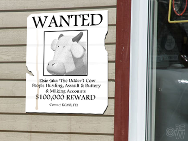 Cow wanted poster