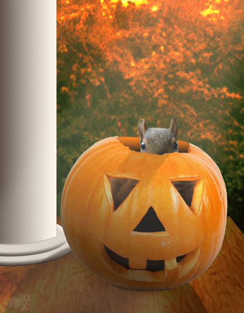 Squirrel & jack-o-lantern