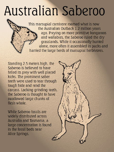 Saberoo Document