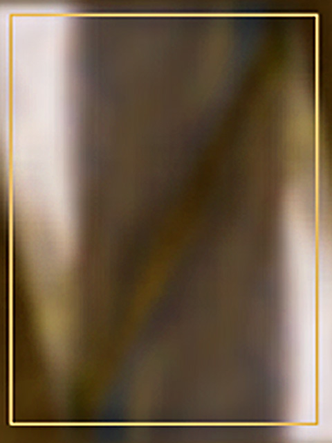 Beak Texture