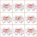 Lotus Jewel