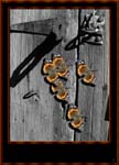 Butterflies & gray door