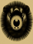 Groundhog