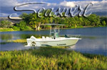 Seaswirl