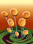Stepflowers