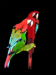 Parrots