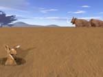 Kangaroo Mammoths