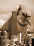Jayzilla