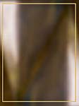 Beak Textures
